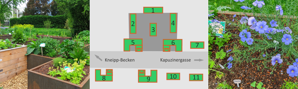 kraeuter 2024